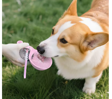 Botella de agua portátil para perros